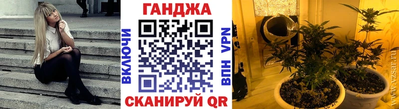 Шишки марихуана план  Купить  Бородино 